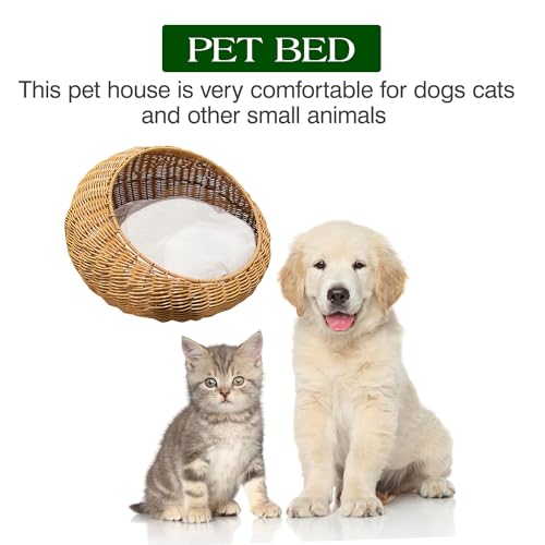 RM - Pet Shelter/Basket