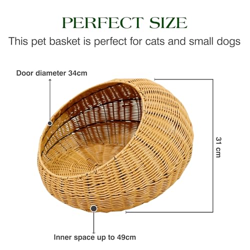 RM - Pet Shelter/Basket