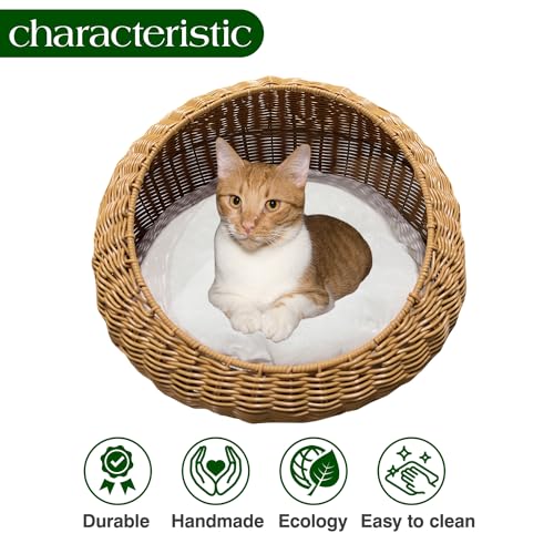 RM - Pet Shelter/Basket