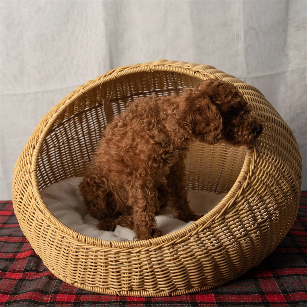 RM - Oval Pet Basket