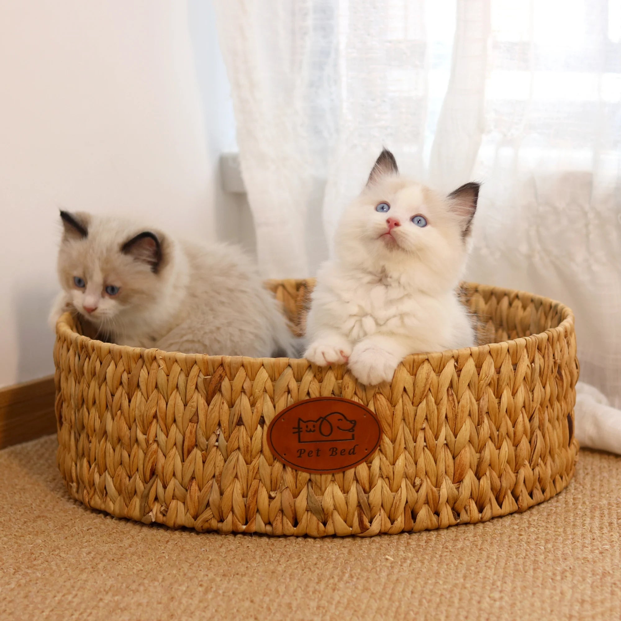 RM - Premium Pet Basket